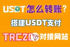 搭建USDT支付对接发卡网(独角数卡)TRC20