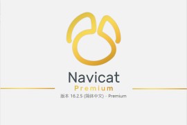 数据库管理工具Navicat premium 16绿色中文版